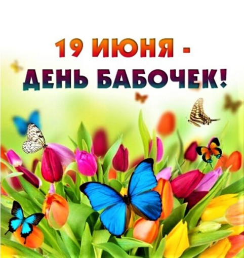 День бабочек День бабочек.